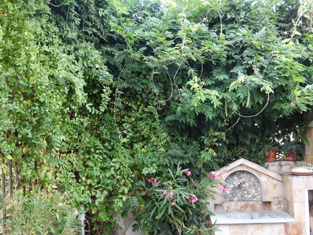 Guest House Ivel Sapareva Bania Exterior foto