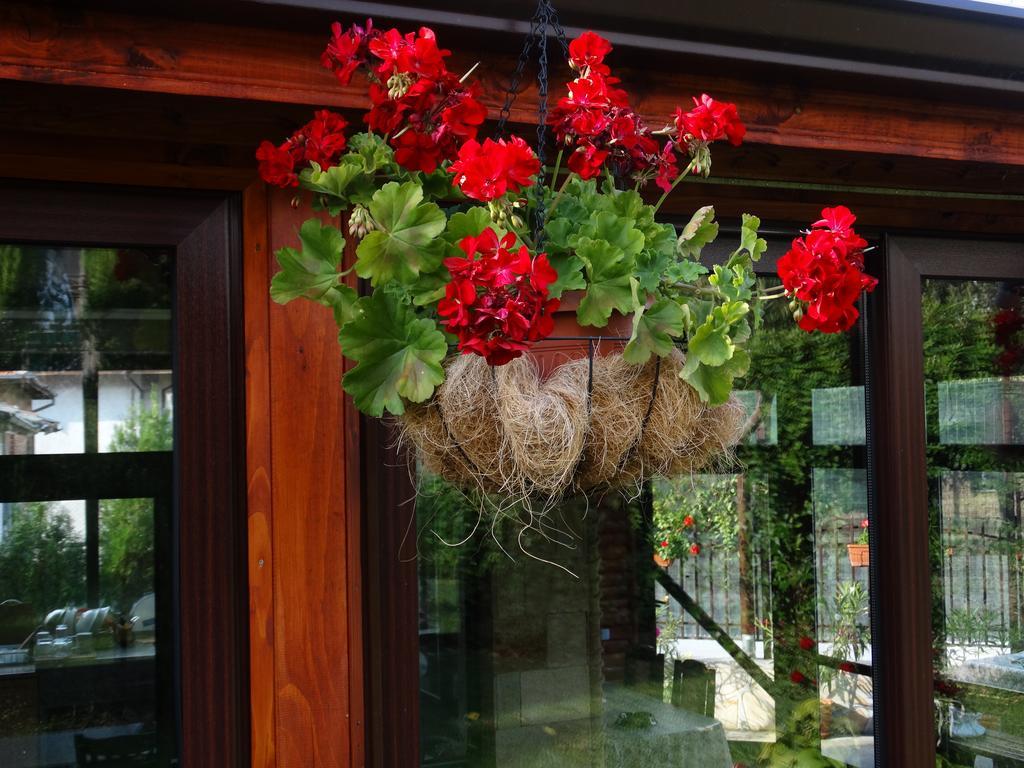 Guest House Ivel Sapareva Bania Exterior foto